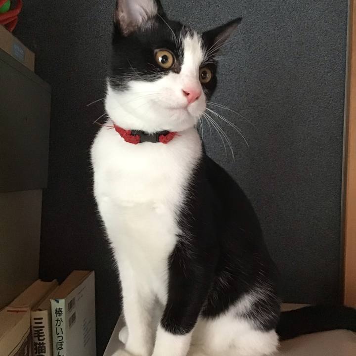 41fe55ce 4de0 4041 a981 c96df54e36ea 1630019480933