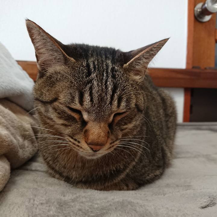 41fe6fa8 ba4e 4300 9a9a e1382e8230db 1552181394523