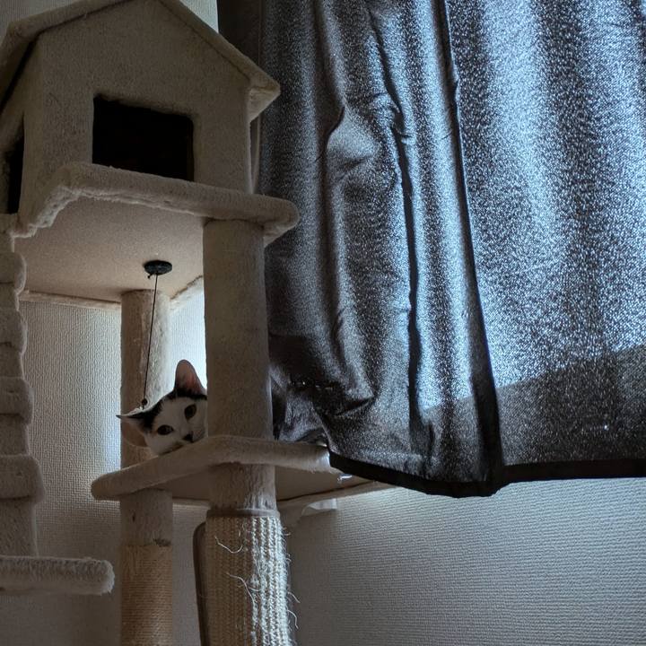 41fea850 23c4 480c 99be c9b3a428ff45 1725321237035