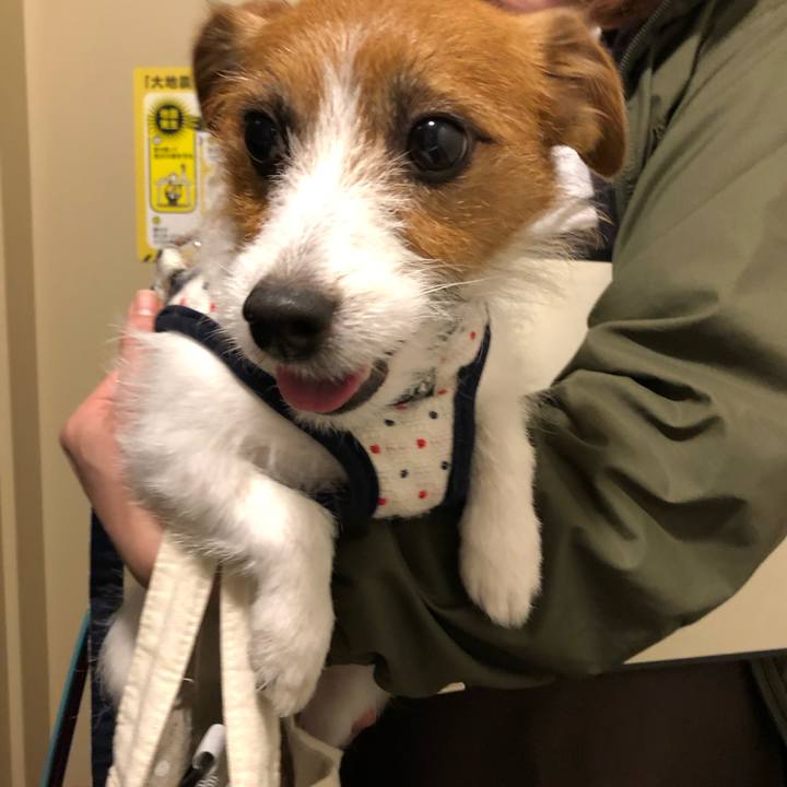 41fec71c 15d5 497a b5dc 818c7fc68439 1549616102574