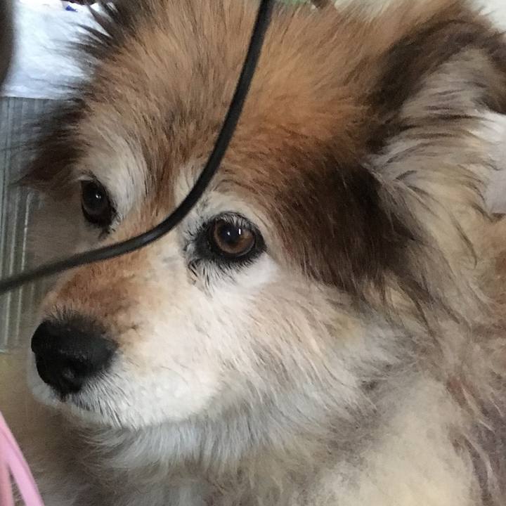 41fed611 0b20 4a8f bf14 6429ed7ad561 1605337605904