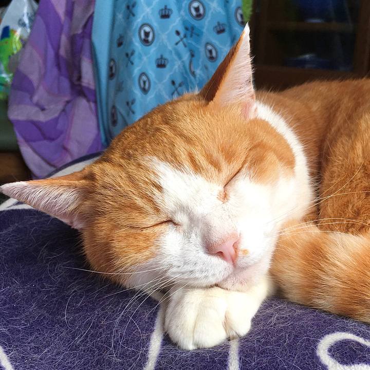 41fedc11 e3ab 408d 9dd6 1e880c185c81 1614238172658