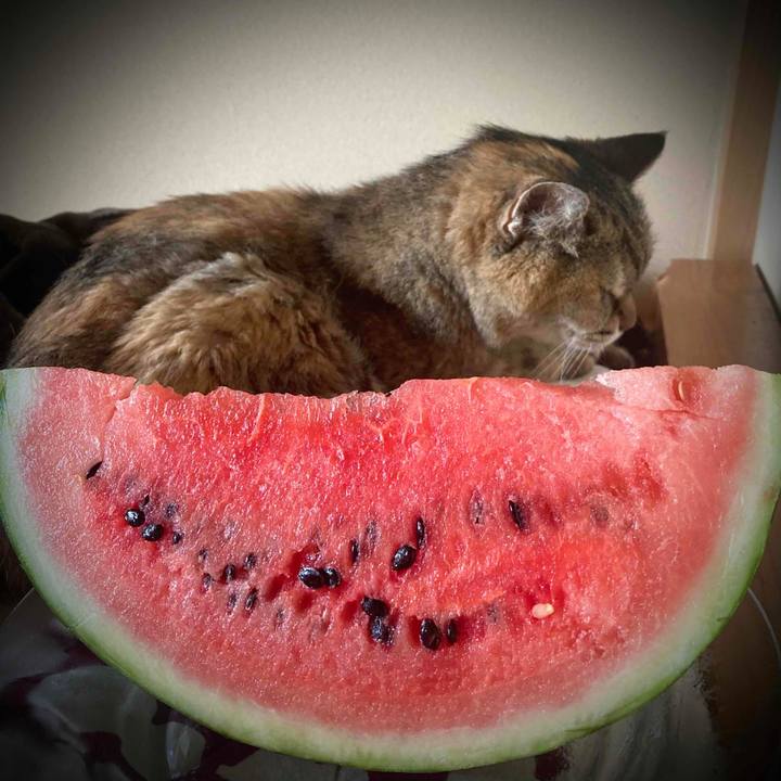 41fee57c 2d5e 4258 be9b 2270201e0e4f 1687314227510