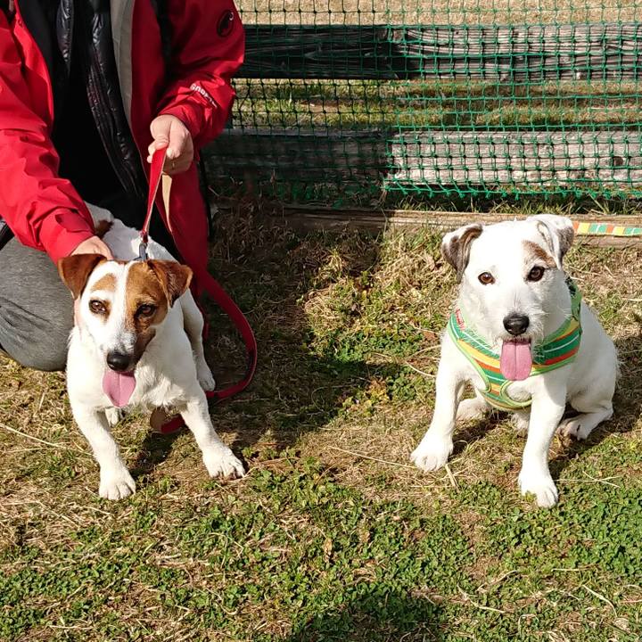 41ff5867 093a 411e 8993 3cc3d7555186 1520066111456