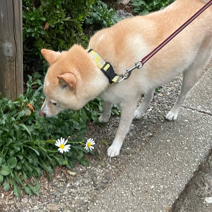 41ff5f17 77d6 4be6 8a7d ac020253dad4 1664928605513