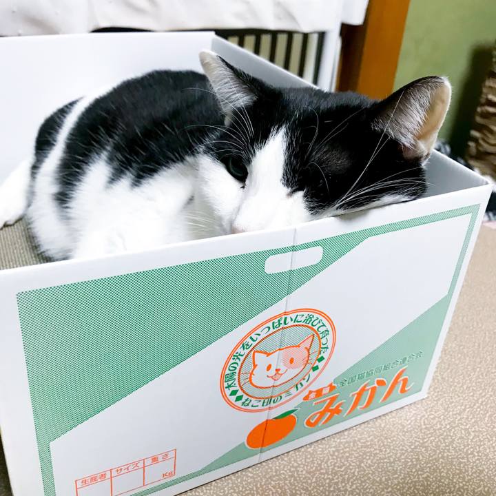 41ff9688 c8f0 4dbb a7b3 bc86e3de6c9a 1515329486813