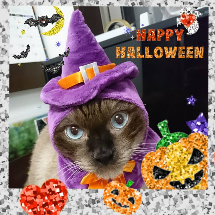 41ffa0ec 9332 478b bc34 3970f478ea1f 1509372884202