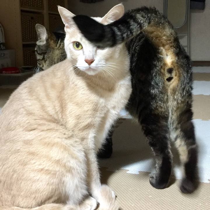 41ffa50d d061 45b6 93d5 8f0eb225ebf5 1528799248671