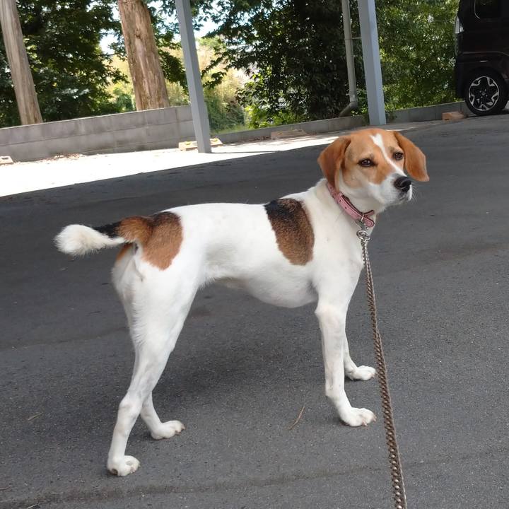 420014c7 b632 4641 bafb d00c901211a5 1595987290872