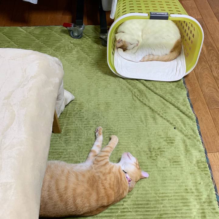 420023e1 ec18 4bcb af78 55e2cd4b7611 1555847992879