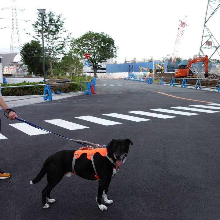 420025a7 e591 45b4 9970 1fff61523c85 1718536373904