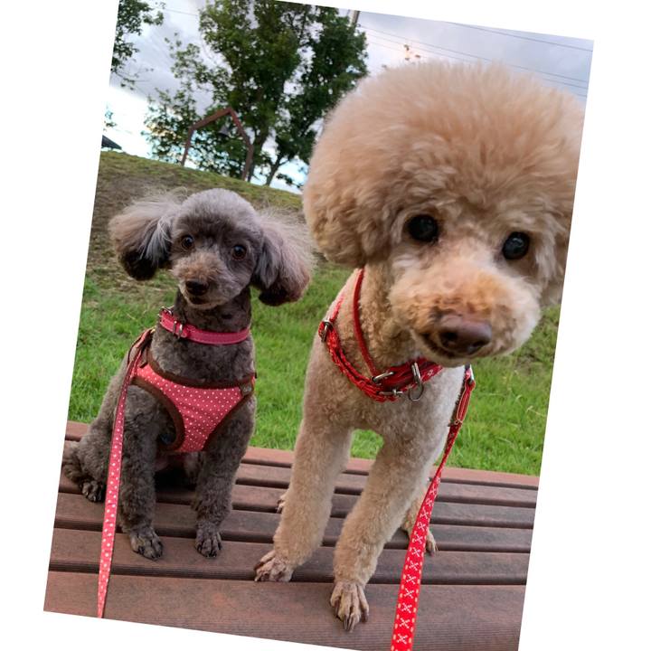 42002aa5 d626 4691 b5dd e1e744158e0c 1601025446106