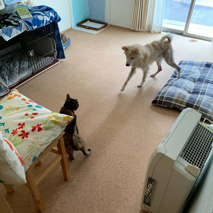 42003211 8a02 4009 a6c4 33a7bfbfe35e 1646830974798