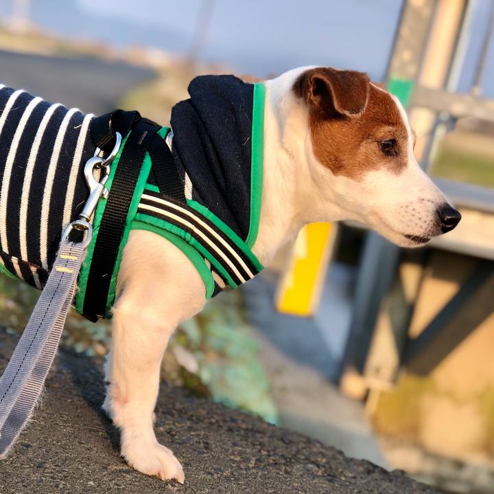 420050a7 1e7e 4c7d b1c4 e6e18154a3a7 1710413483233