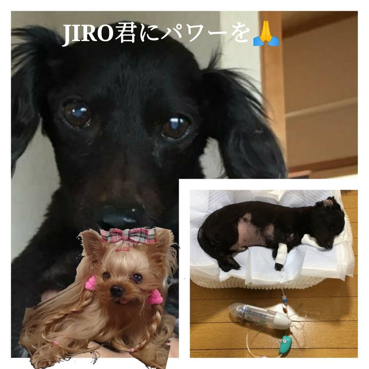 42005c34 3c18 4c3c b6a0 1a006a08e8bf 1557663569867