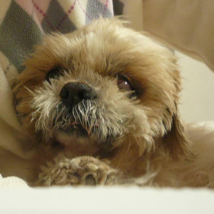 42007cad e57c 4012 8acc fffdf65166d0 1529067085358