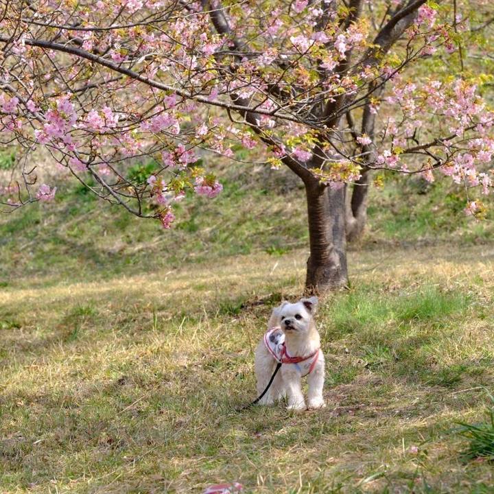 42007dc1 d94e 4668 b9e1 b859ef7c5c9f 1678362211628