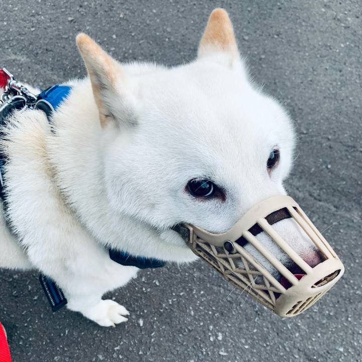 420093c6 a232 4b0a a538 c5031d5acbe6 1631829861690