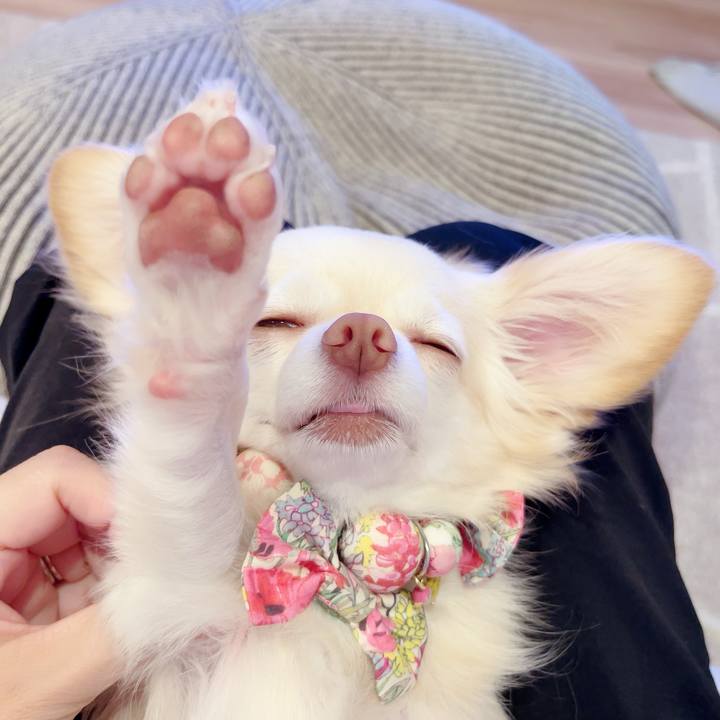 42009dff 91c1 4338 be17 67383bd068d5 1692786610758