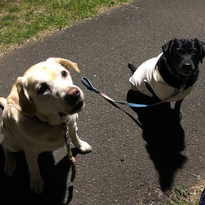 4200b2a5 ba02 4ee2 b163 042e9461f966 1553083622912