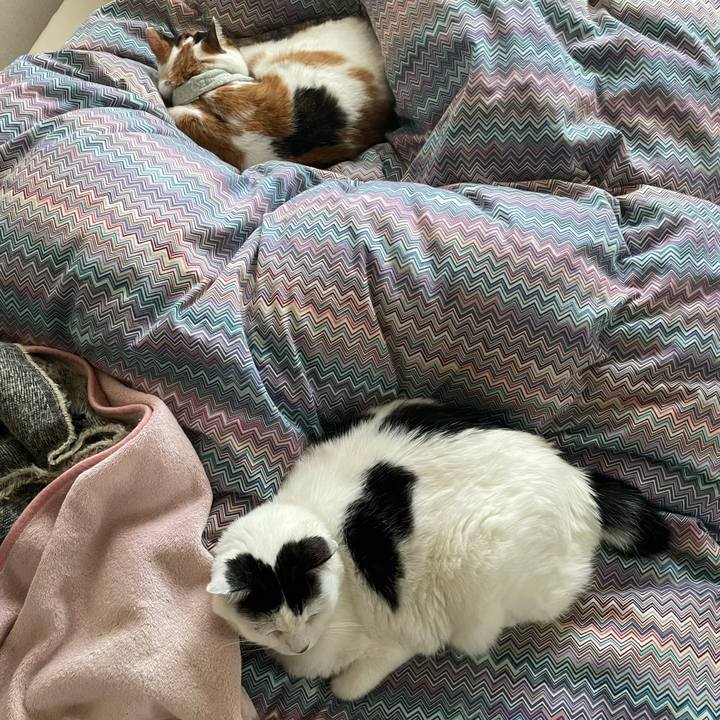 4200b5b0 1afe 49af 808d 5e617f05cfca 1668655939697