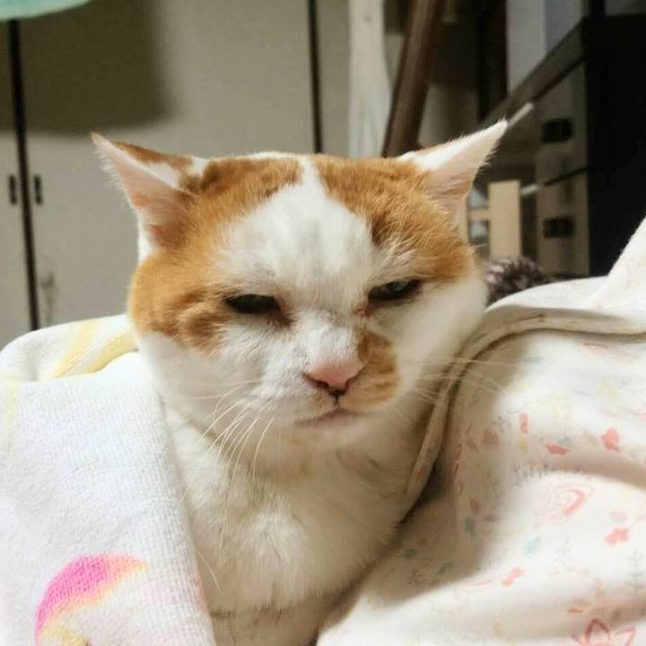 4200bc72 6d31 4444 b22d c2d3b27f0a4a 1705672080445