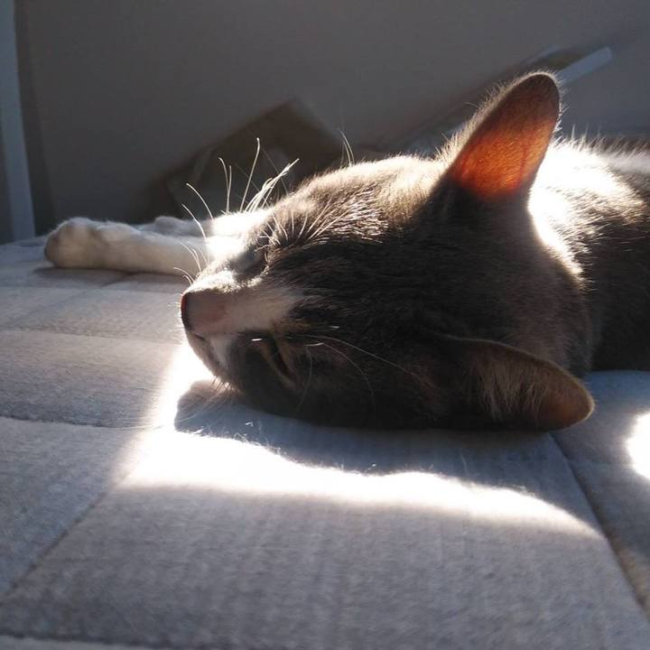 4200c61c ca81 42a9 a8e4 6fa08c9584c9 1595166206955