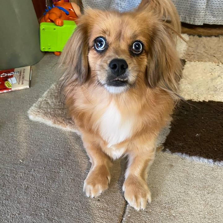 4200d6a2 e115 4646 af20 5dde7ffc6872 1606095717792