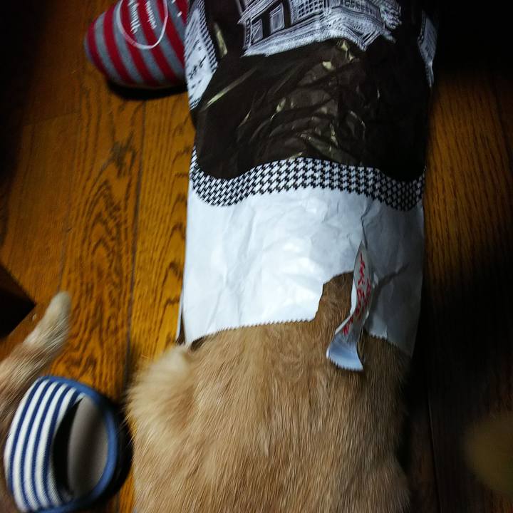 4200d7cb f4c5 480d 8526 4cd79ad88655 1543452251711