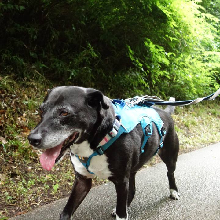 4200d815 ec3a 4a62 ab19 b3896672cc67 1752447931347