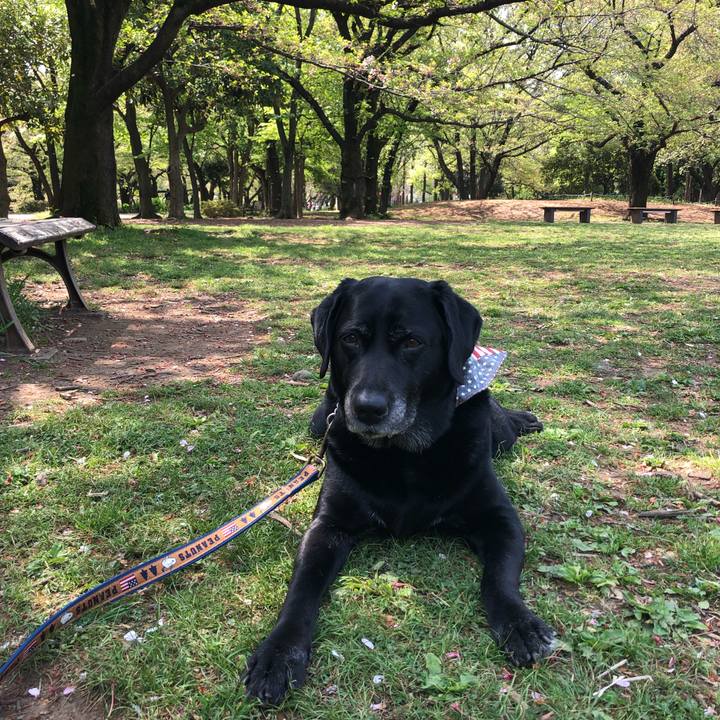 42010957 5865 4b3c 9056 d3a1d16e96c1 1555637188693