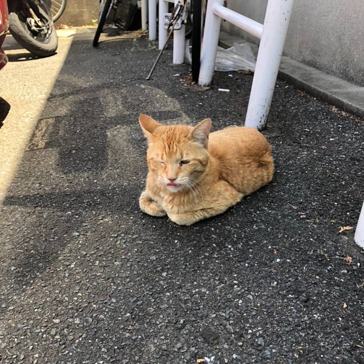 42010edd ede4 46df bb92 b38644bb77a8 1558496685677