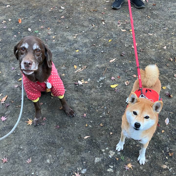 4201229c 14ec 4618 81f3 25cad32f31e3 1764849078397