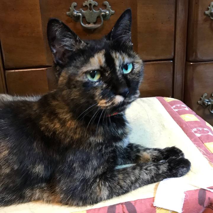 420175a1 88cb 4d52 b5d9 ee94bc3110f9 1541246587058