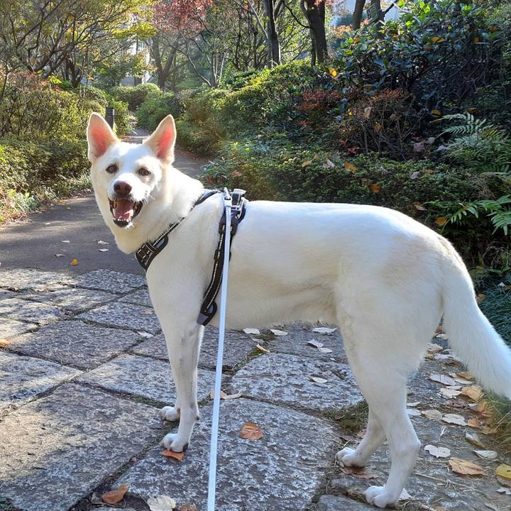 4201bc3d 75e8 409c 9684 0d7760cb29af 1637383949982