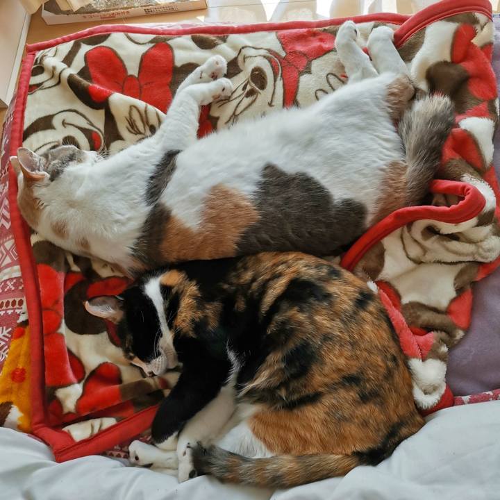 4201d5e9 3f5e 4864 b76b 66006c32c127 1679211659720