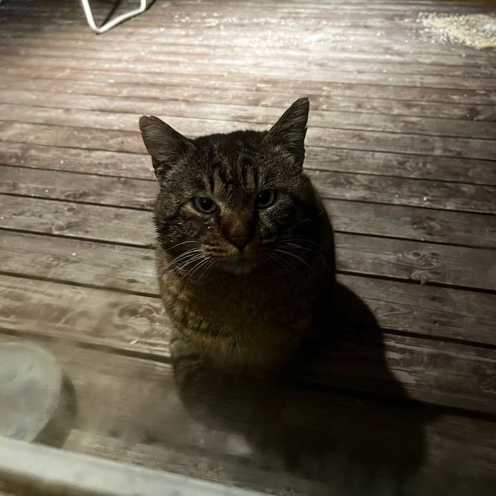 4201fa08 fc23 4323 b13c 75dc4e6ba9b4 1709983125610