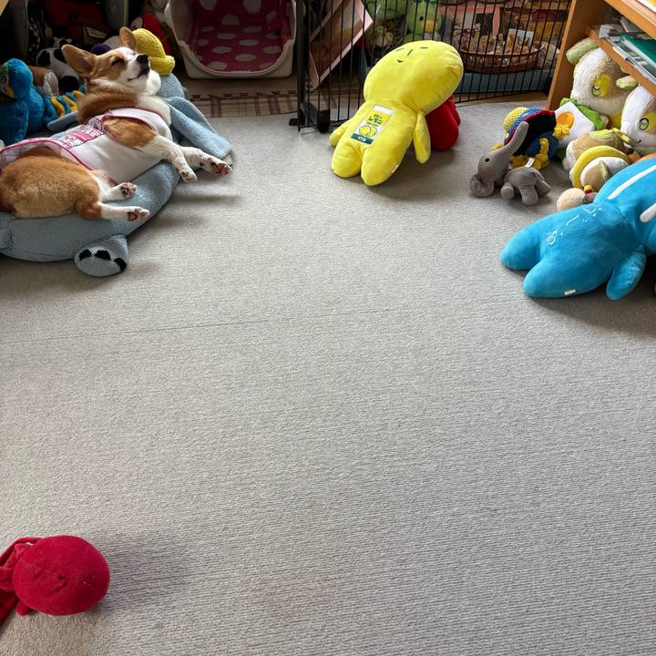 4201ff56 f483 4bf4 a036 1924cb028ea6 1762053330030