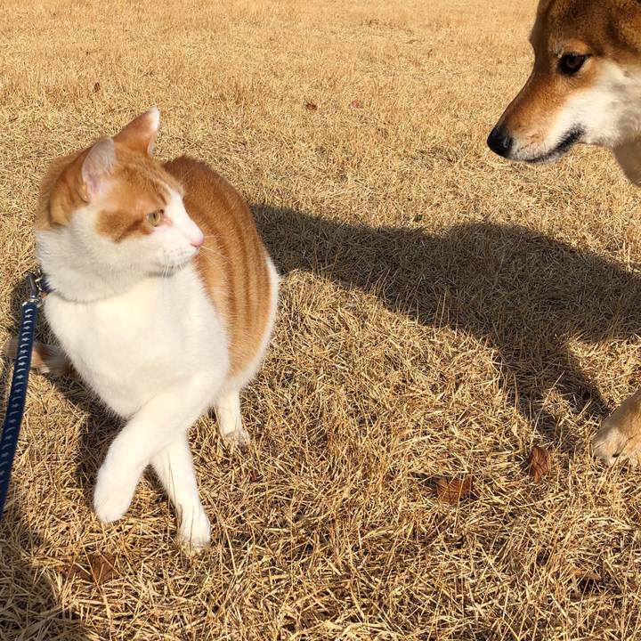 420242fc 08f2 4676 a0e6 a8dbbec9645f 1546769055859