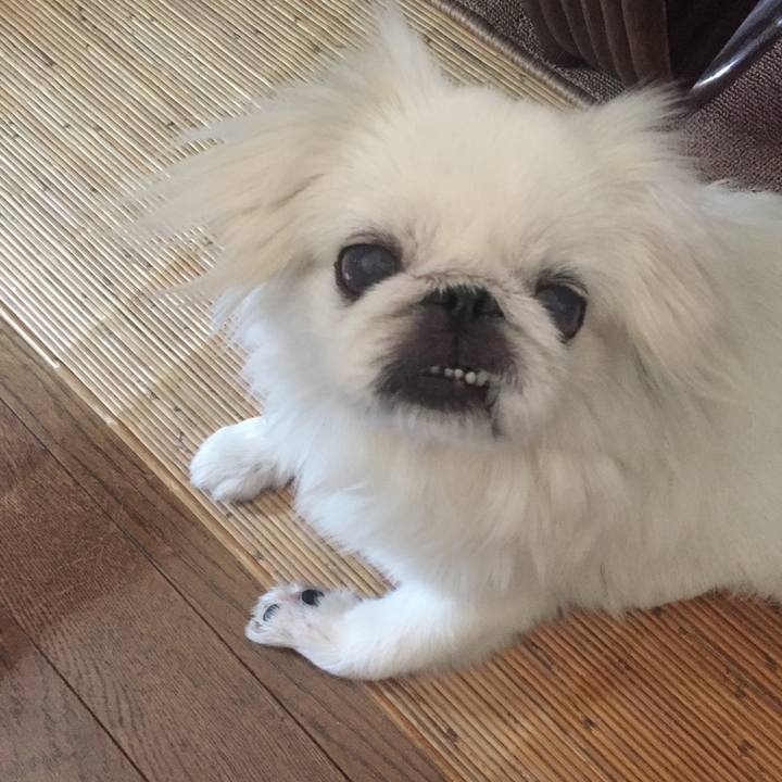 42026637 584c 43da 8c4b f456813a1753 1528513689196