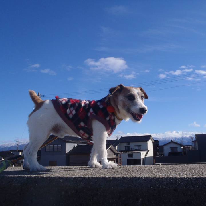 420272ab 972c 4537 ade7 a172e9687140 1520843487991