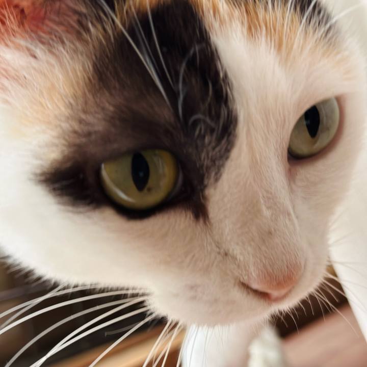 4202c5ef 0236 4136 8fbf adec2ef2e3d3 1697245877114