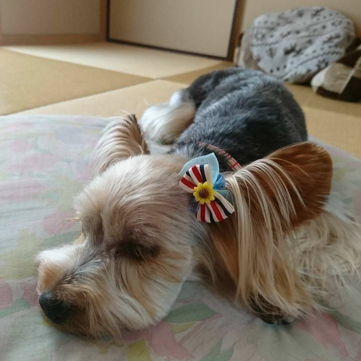 420309f6 c131 47ea a531 a7488e9ecf91 1543537874649