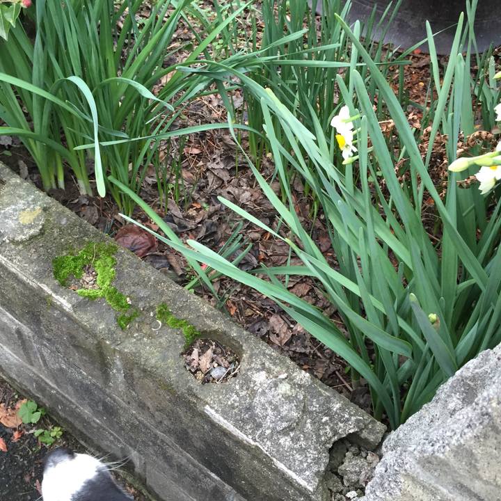 420318fc 48d2 440e 8651 b352aaa0c521 1545091062378