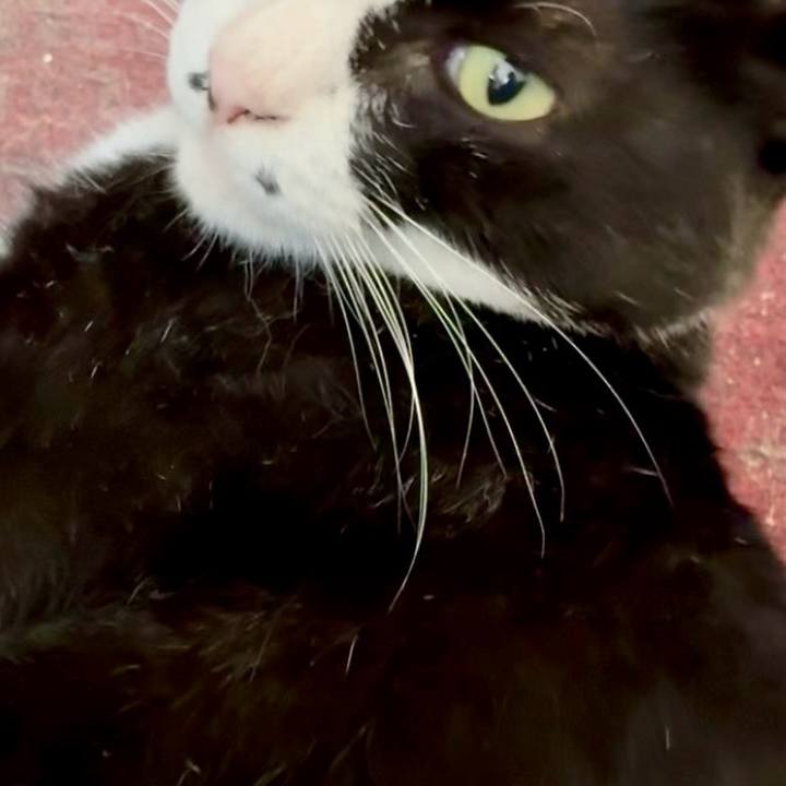 42033ca0 c96e 47e8 867e 1d8c41951ac9 1756088163316