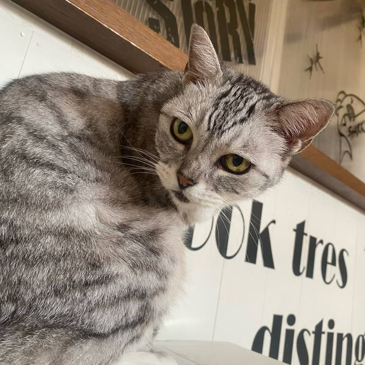 42034018 5f57 4503 b69d eb894913646d 1759012133428