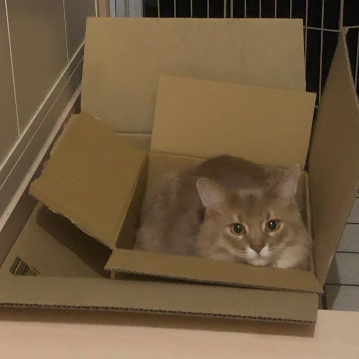 42034eb9 a212 43d1 81e2 121bbea5f205 1601793793126