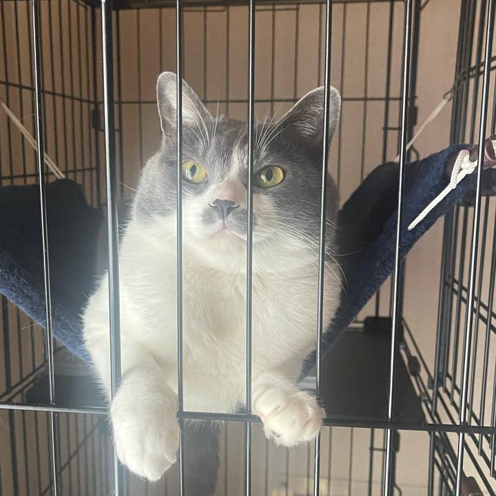 420357c0 a87d 4786 a899 fcccb484b7af 1684796171460