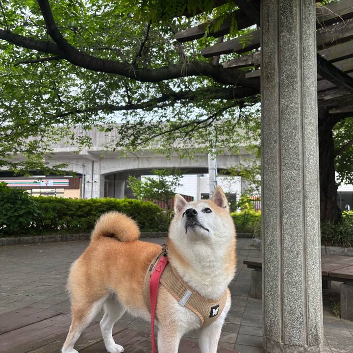 42035bf9 2a0c 4846 a62c 6b2bc642f18a 1746135416264