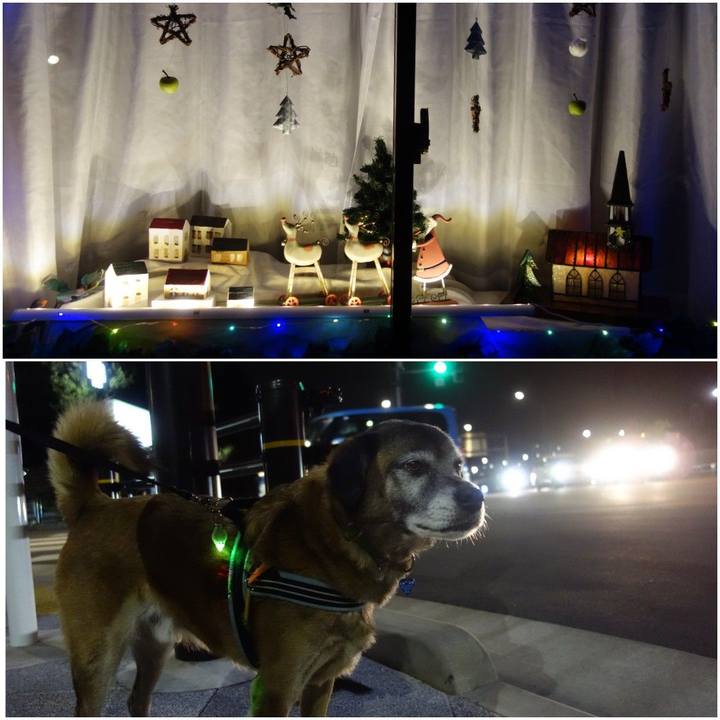 42037833 1a65 4c93 92a8 4301d3f1ba2a 1544364793736